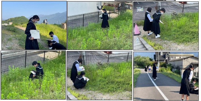 美術部